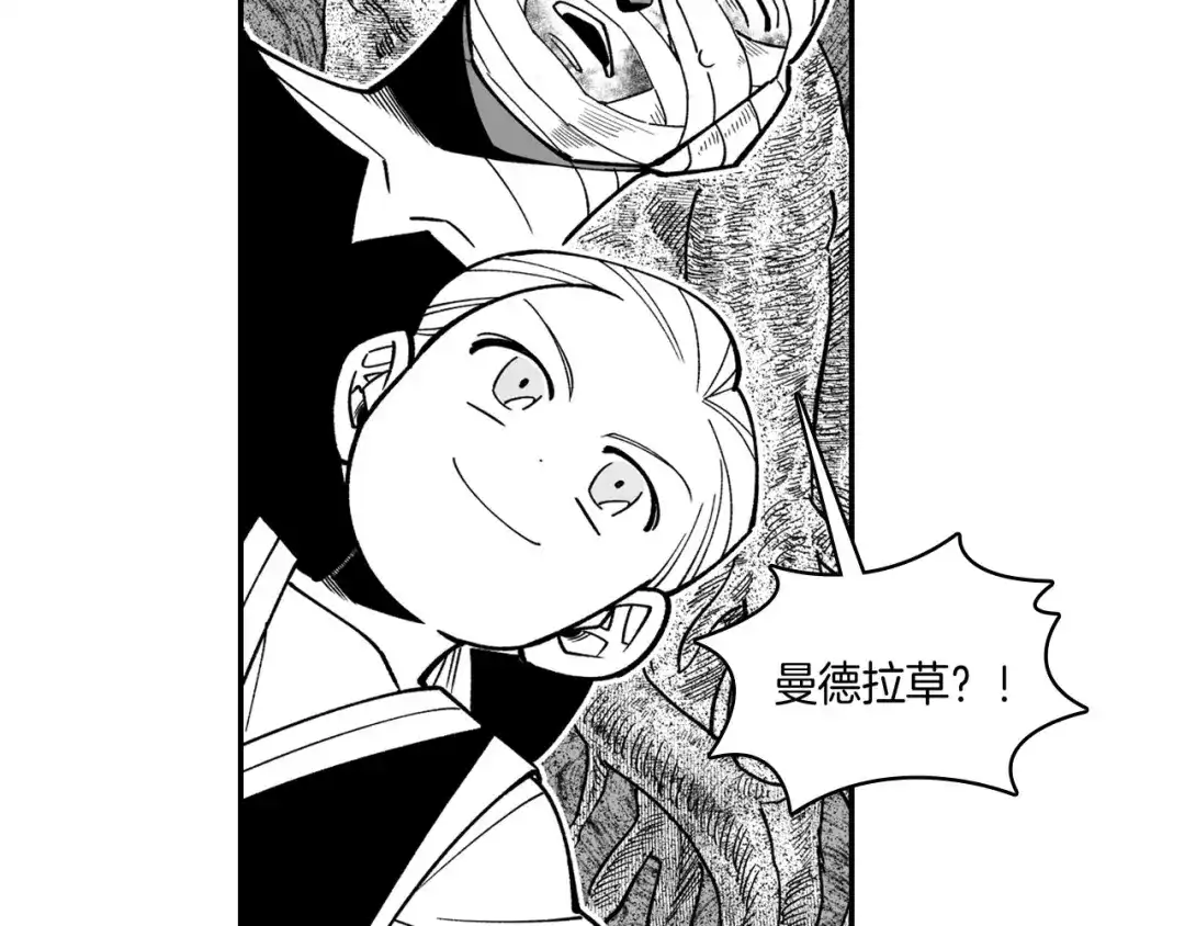 龙之归途 第38话 曼德拉草 第20页