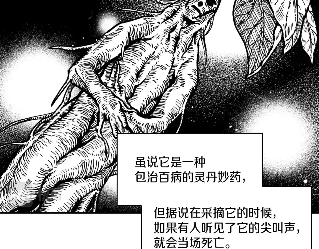 龙之归途 第38话 曼德拉草 第23页