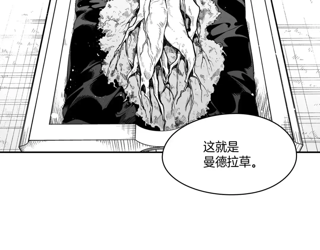 龙之归途 第38话 曼德拉草 第30页