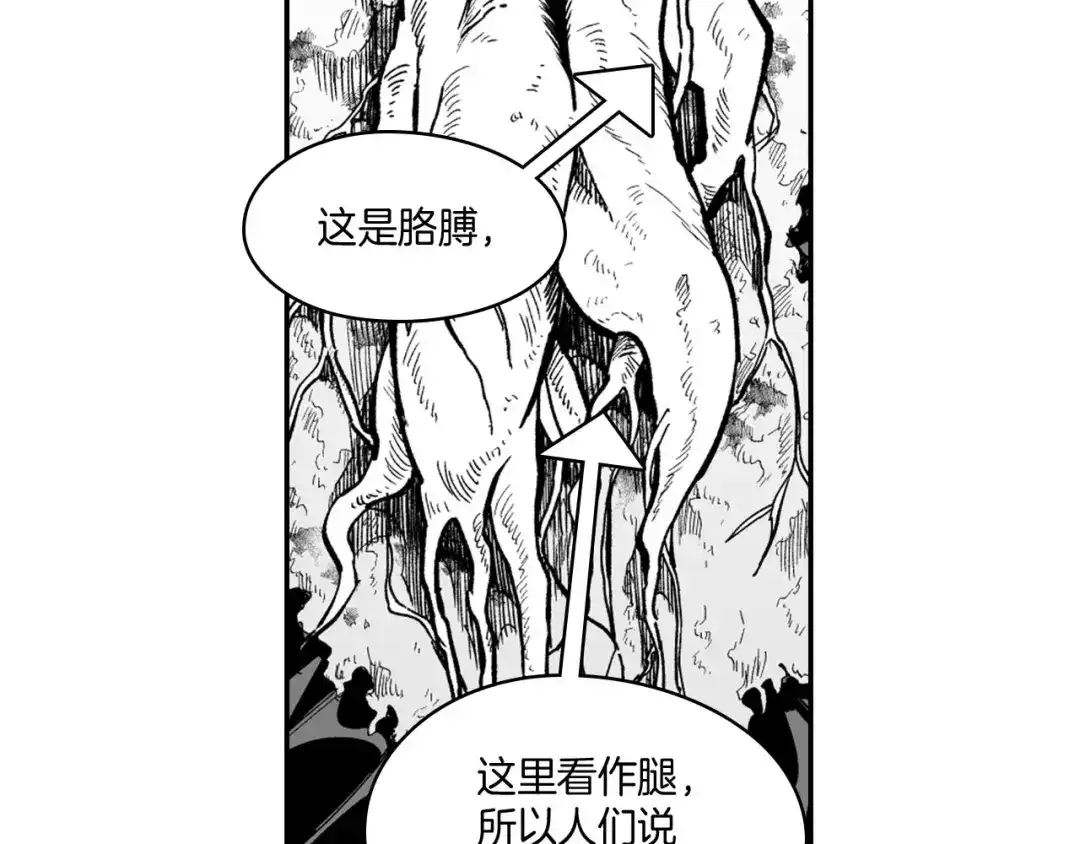龙之归途 第38话 曼德拉草 第36页