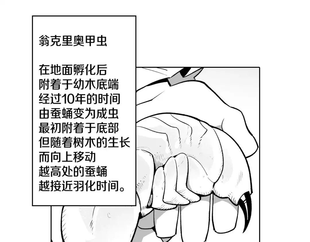 龙之归途 第4话 龙女的挑衅 第32页