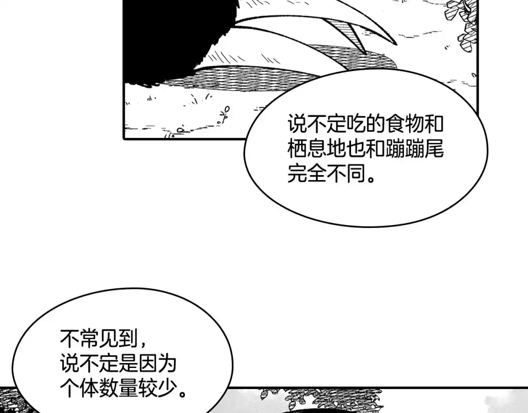 龙之归途 第90话 蒂苹姐妹 第58页