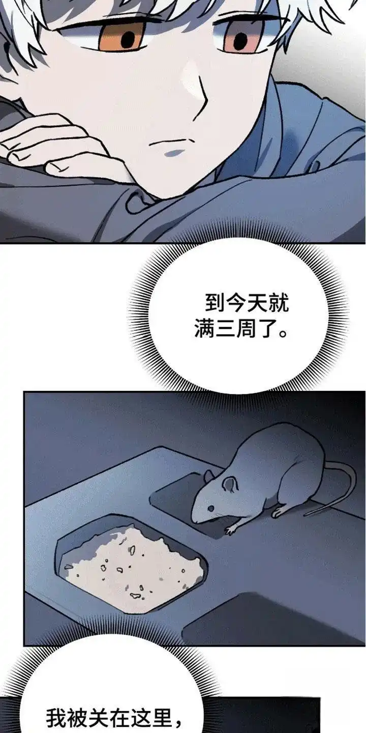 笼中白狼 第11话 第3页