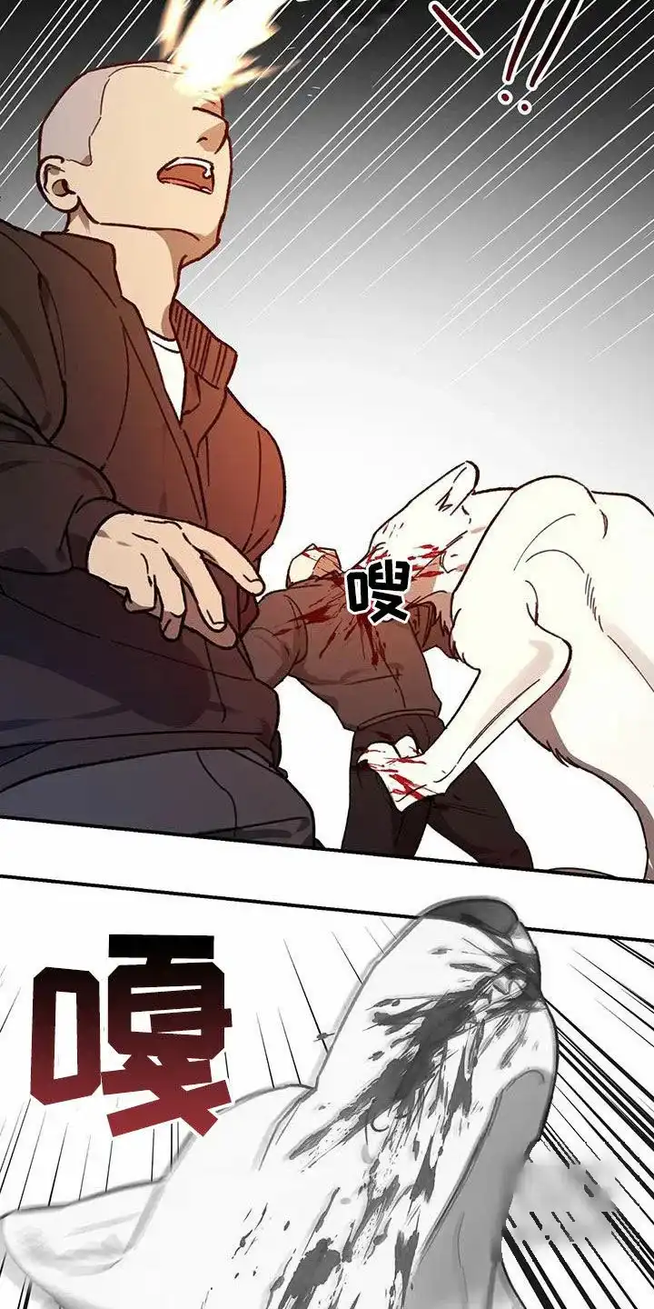 笼中白狼 第37话 第24页