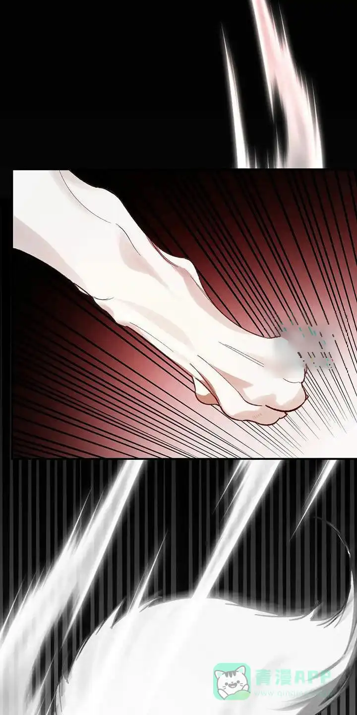 笼中白狼 第37话 第6页
