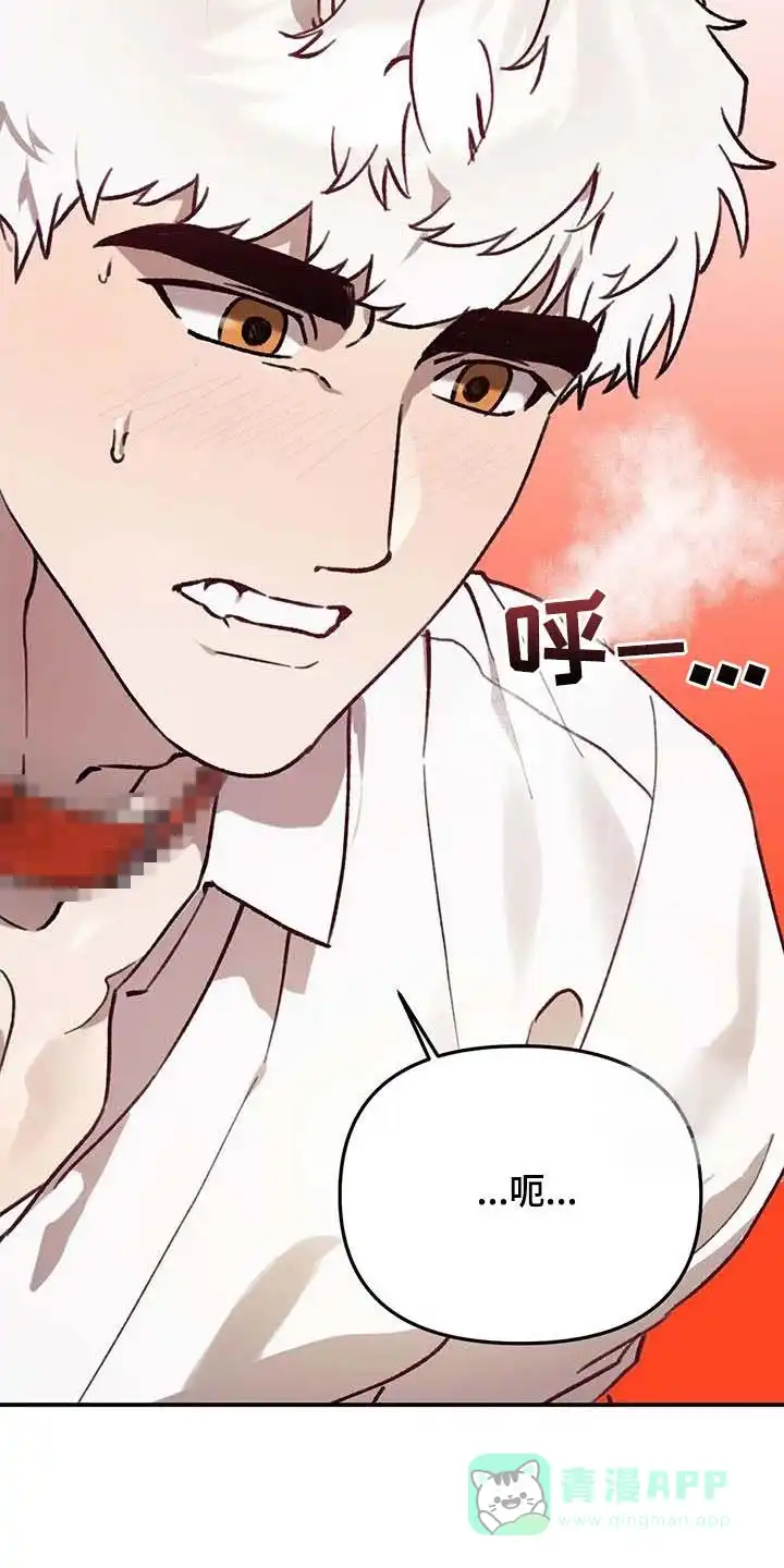 笼中白狼 第44话 第6页