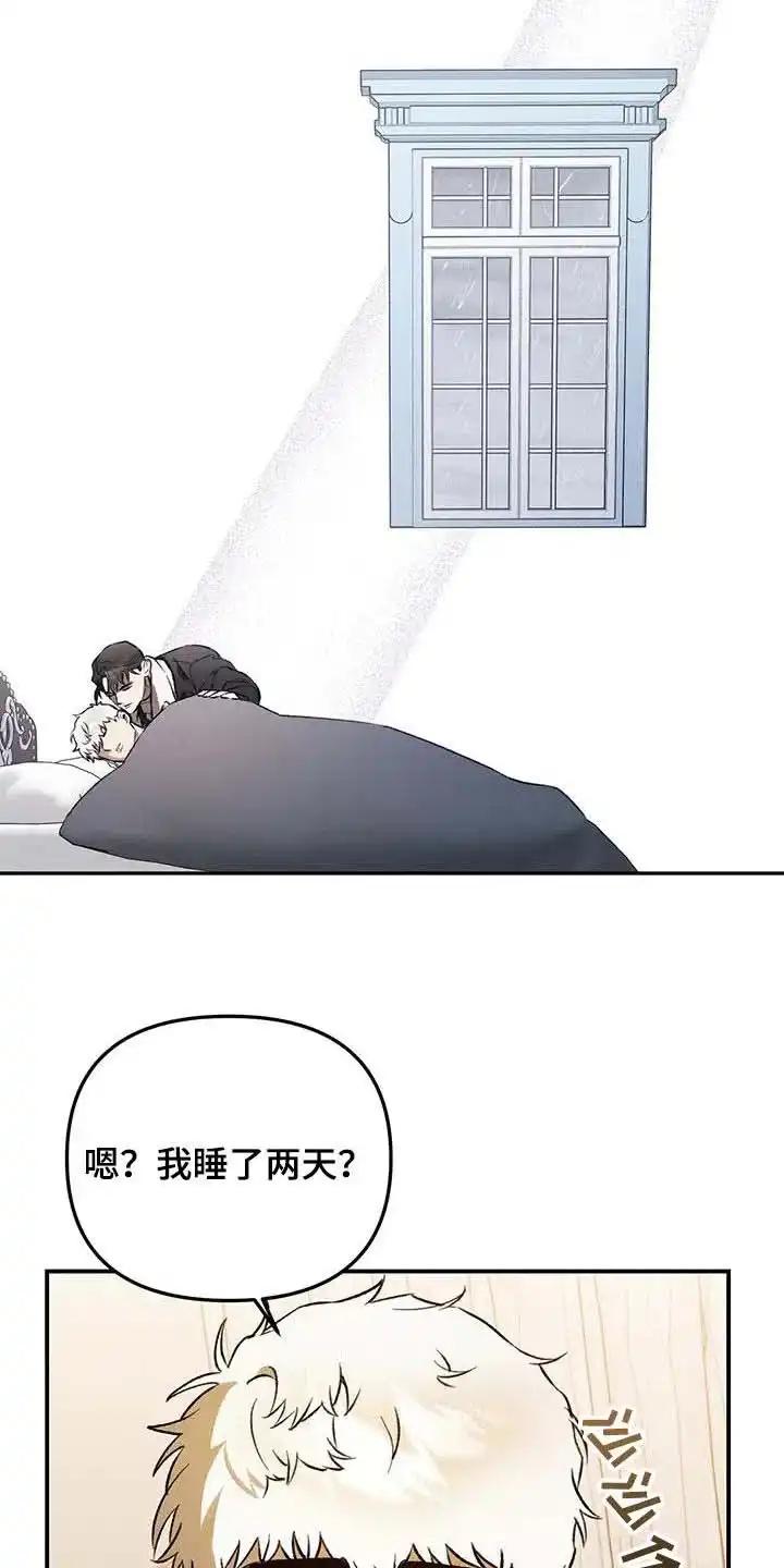 笼中白狼 第45话 第13页