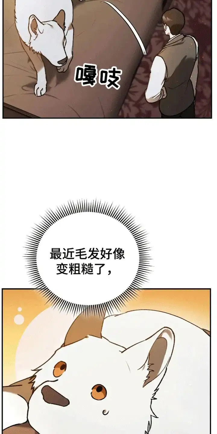 笼中白狼 第7话 第24页