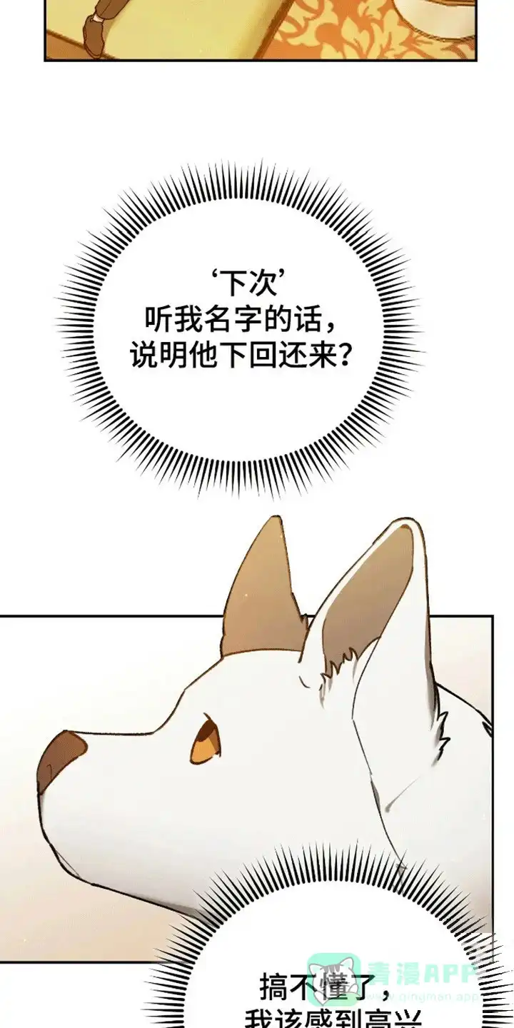 笼中白狼 第7话 第11页