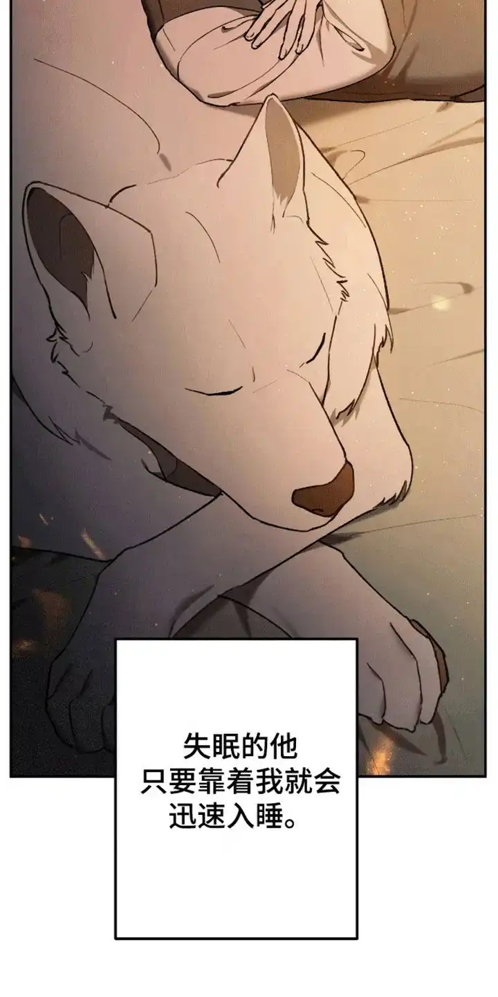 笼中白狼 第8话 第24页