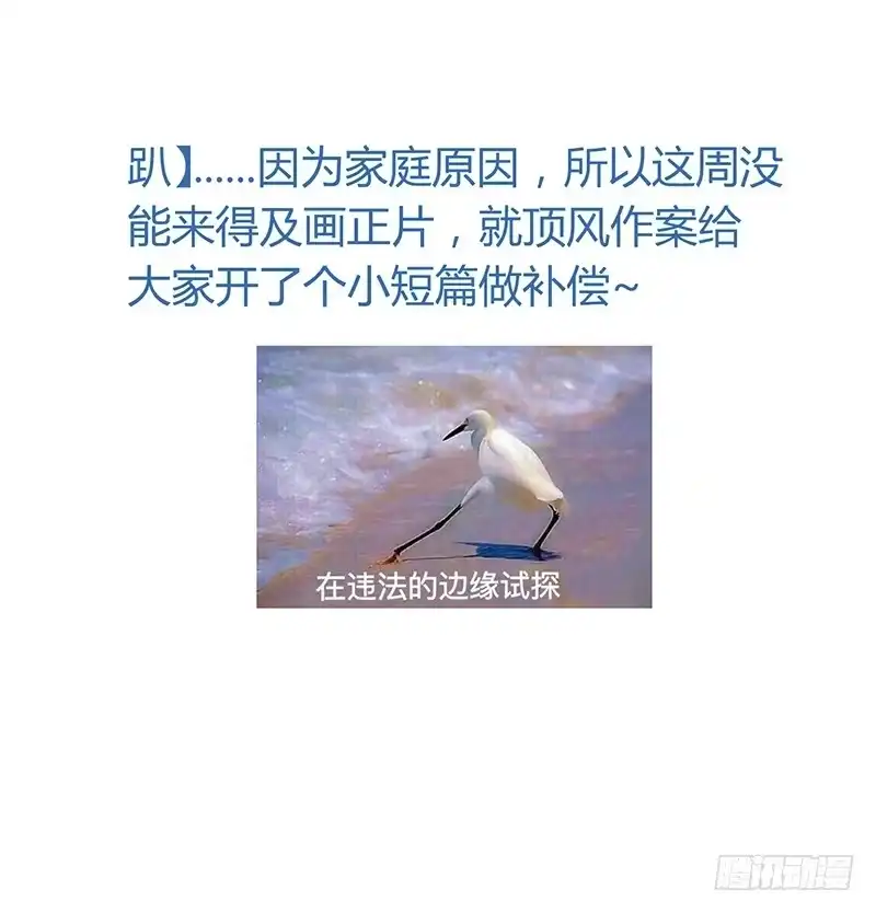 《楼兰诅咒：暴君狠宠我》第二季 请假小短篇 第14页