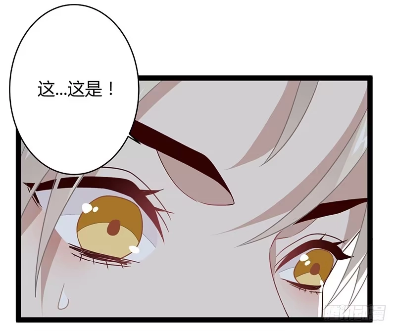 《楼兰诅咒：暴君狠宠我》第二季037 偷袭 第29页