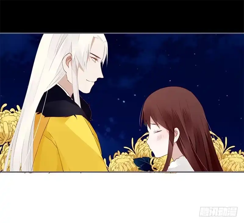 《楼兰诅咒：暴君狠宠我》027 不忍伤害你 第23页