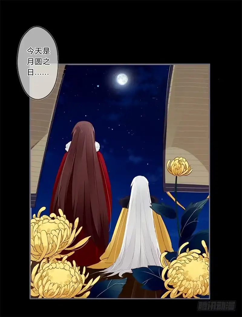 《楼兰诅咒：暴君狠宠我》027 不忍伤害你 第11页