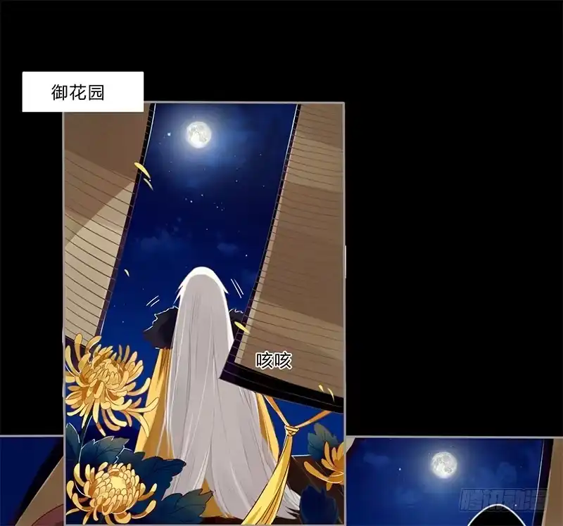 《楼兰诅咒：暴君狠宠我》027 不忍伤害你 第5页