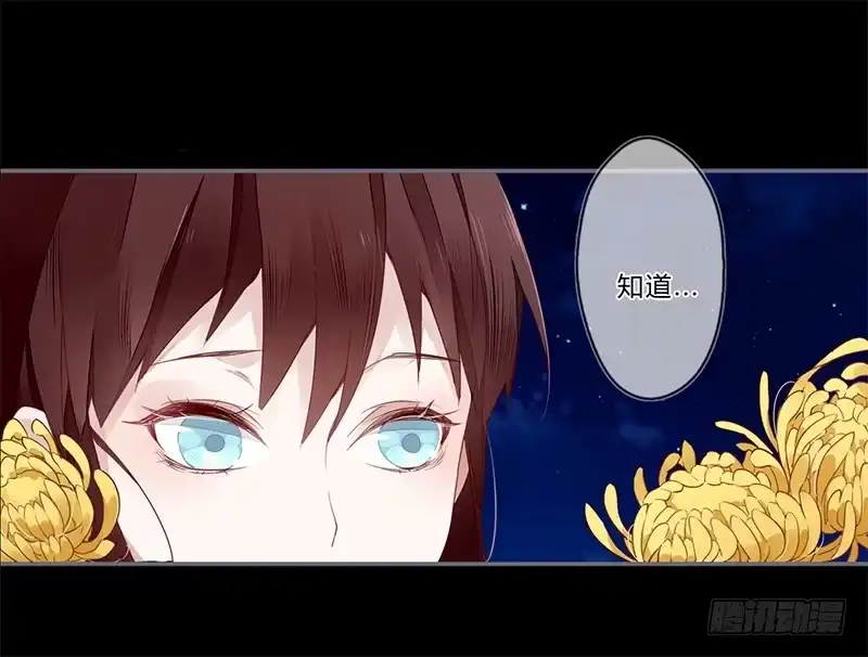 《楼兰诅咒：暴君狠宠我》027 不忍伤害你 第10页