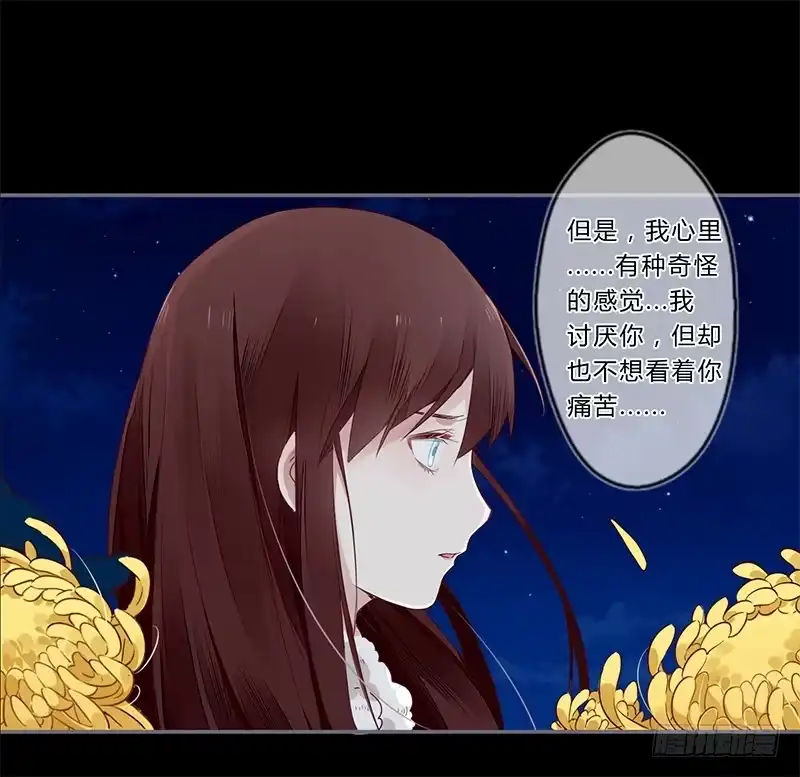 《楼兰诅咒：暴君狠宠我》027 不忍伤害你 第15页