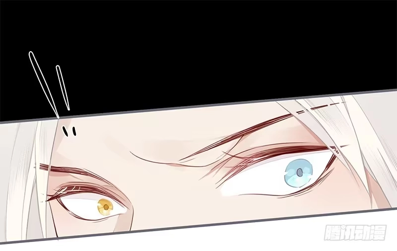 《楼兰诅咒：暴君狠宠我》028 不想看你痛苦 第24页