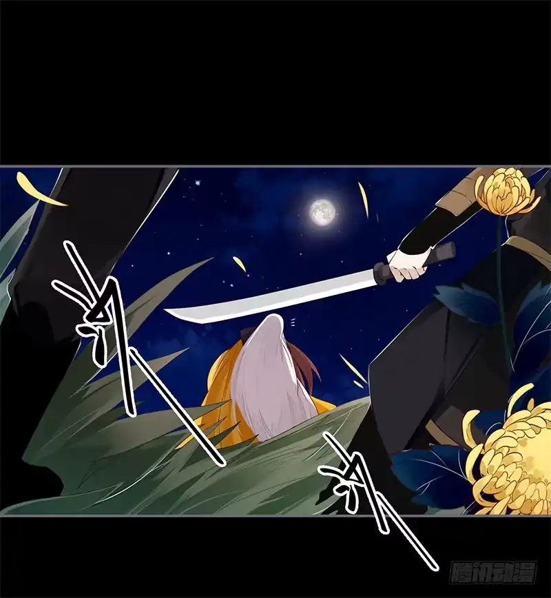 《楼兰诅咒：暴君狠宠我》028 不想看你痛苦 第1页