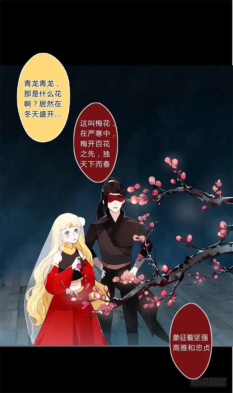 《楼兰诅咒：暴君狠宠我》033 先穿衣服？ 第22页