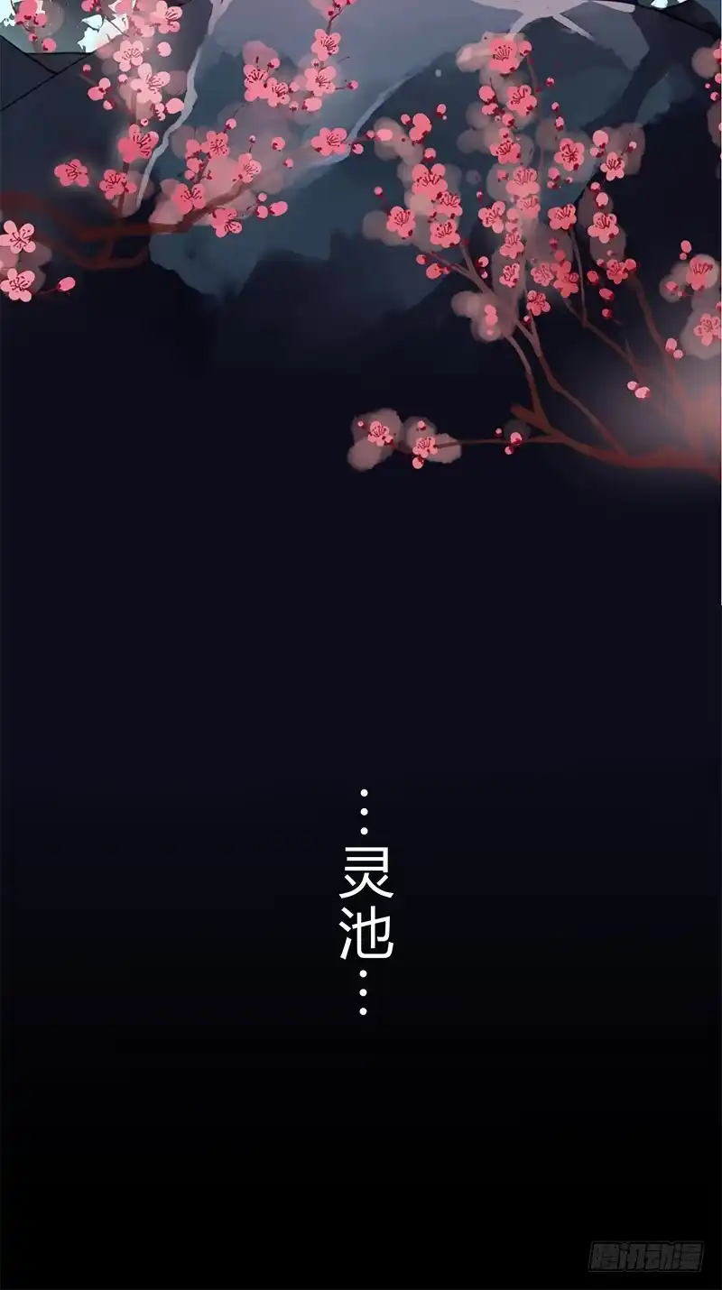 《楼兰诅咒：暴君狠宠我》040 你们都是魔鬼吗！ 第31页