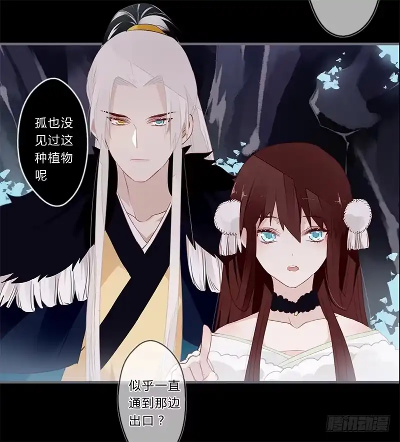 《楼兰诅咒：暴君狠宠我》040 你们都是魔鬼吗！ 第24页