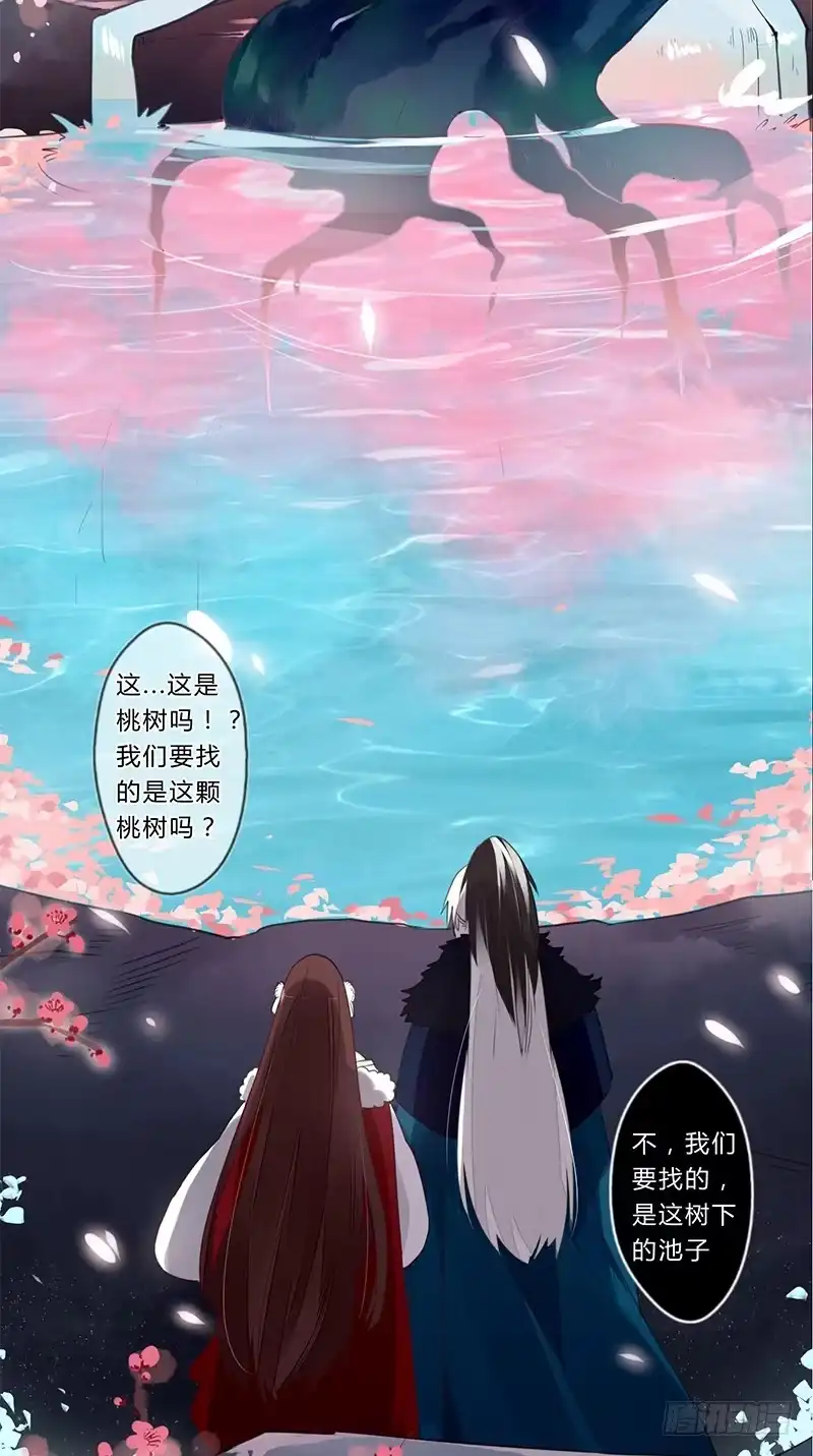 《楼兰诅咒：暴君狠宠我》040 你们都是魔鬼吗！ 第30页