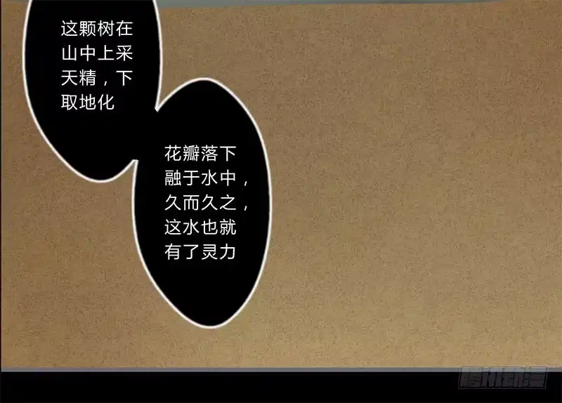 《楼兰诅咒：暴君狠宠我》044 来追我呀 第11页