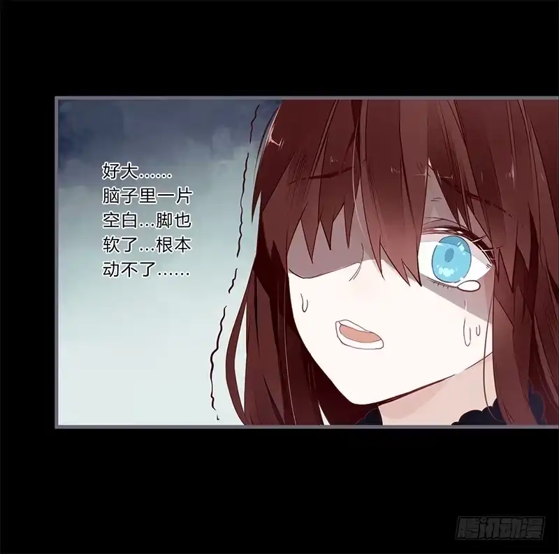 《楼兰诅咒：暴君狠宠我》048 绝境 第9页