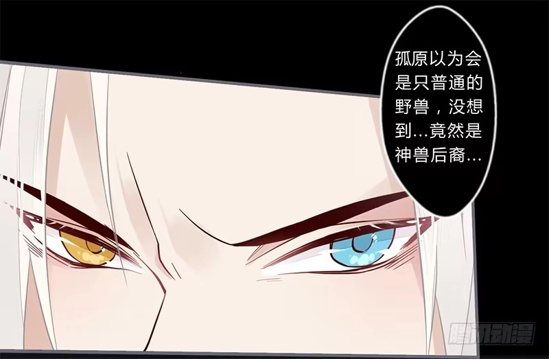 《楼兰诅咒：暴君狠宠我》048 绝境 第3页