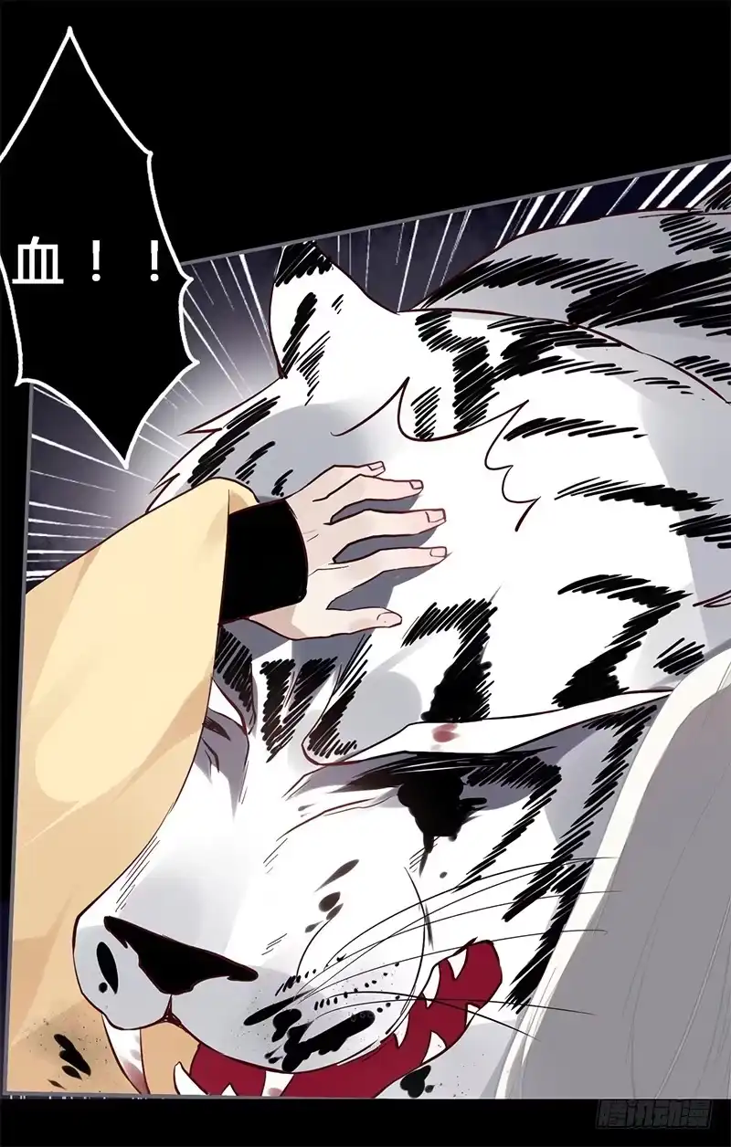 《楼兰诅咒：暴君狠宠我》049 血债血偿 第13页