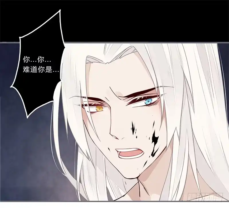 《楼兰诅咒：暴君狠宠我》050 你可是雪儿？ 第9页