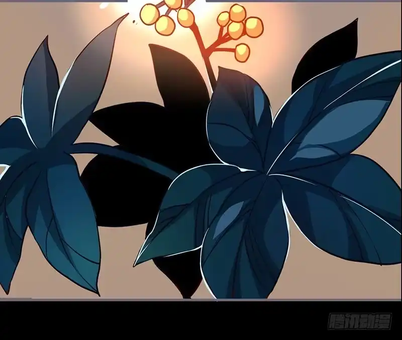 《楼兰诅咒：暴君狠宠我》059 真要露宿山林？ 第17页