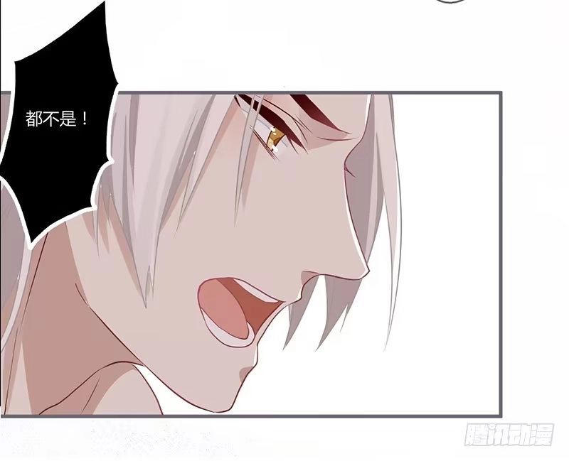 《楼兰诅咒：暴君狠宠我》068 当不负卿 第26页