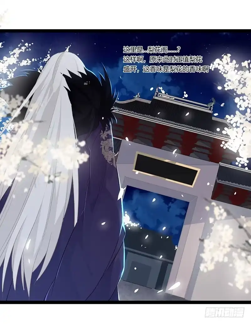 《楼兰诅咒：暴君狠宠我》第二季012 重逢 第14页
