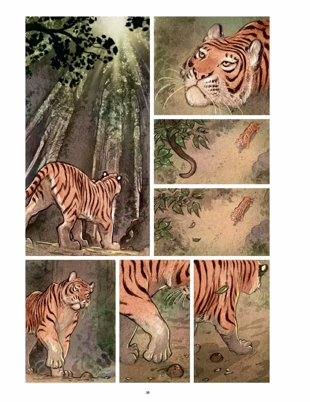 《love》老虎 第18页