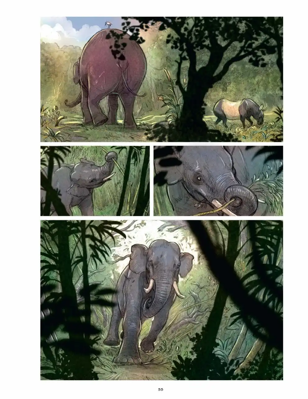 《love》老虎 第55页