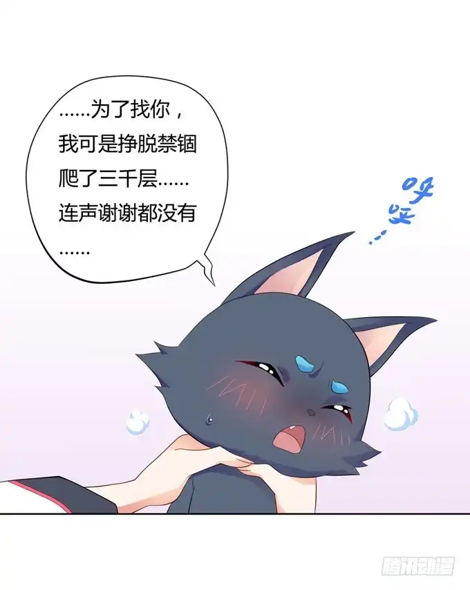 《炉鼎要反抗》开黄腔的狐狸！ 第50页