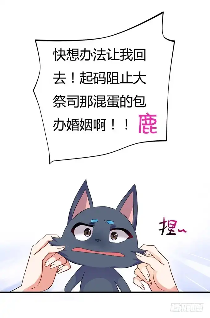 《炉鼎要反抗》开黄腔的狐狸！ 第52页
