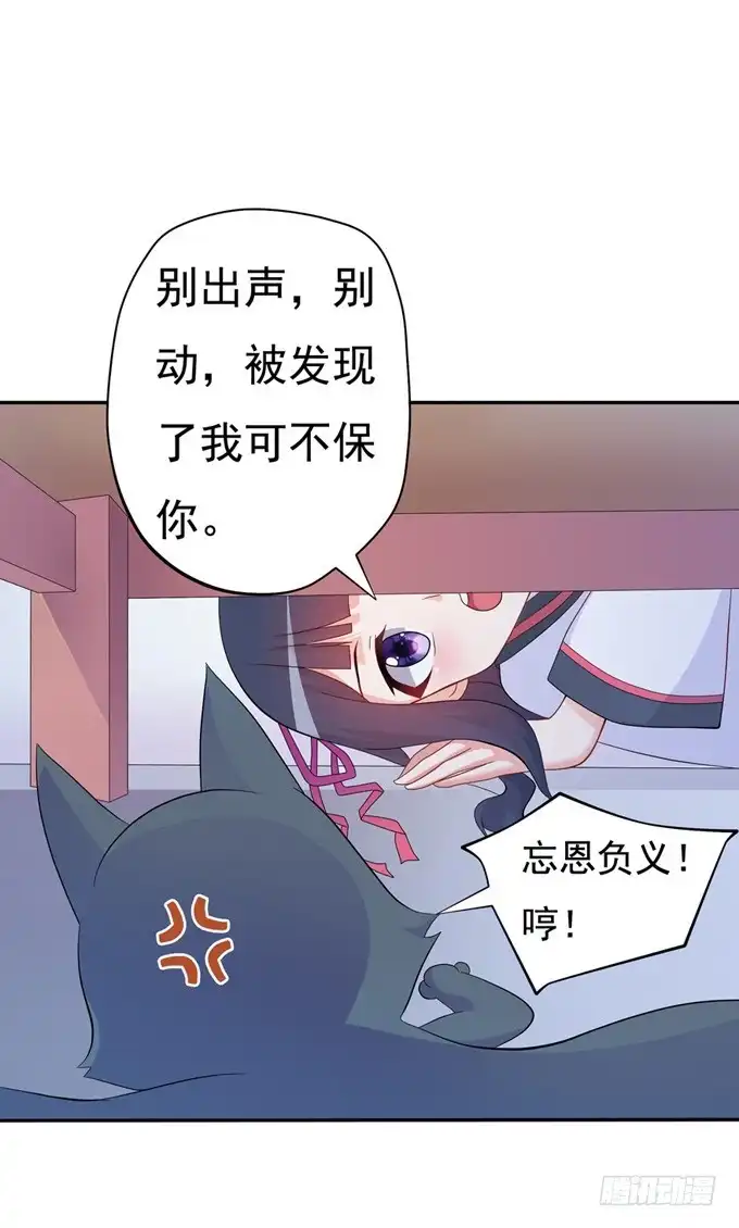 《炉鼎要反抗》开黄腔的狐狸！ 第68页