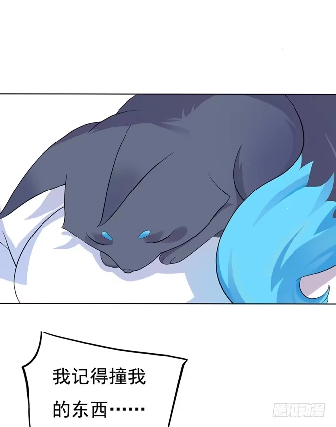 《炉鼎要反抗》开黄腔的狐狸！ 第3页