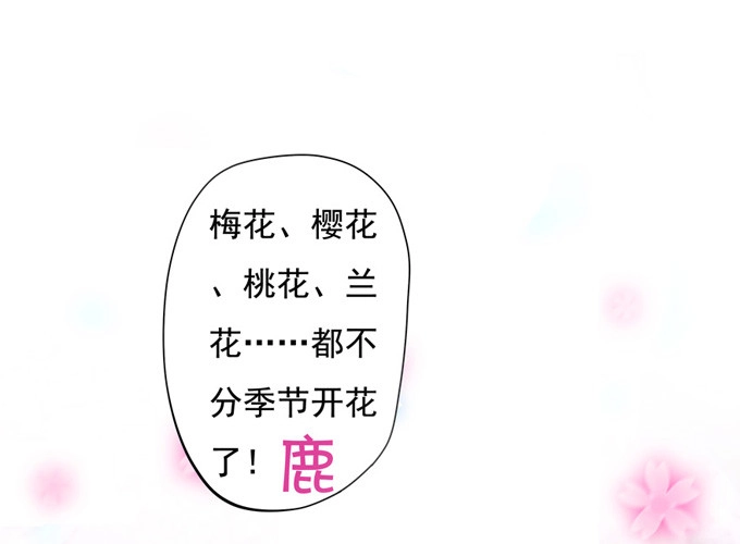《炉鼎要反抗》开黄腔的狐狸！ 第74页