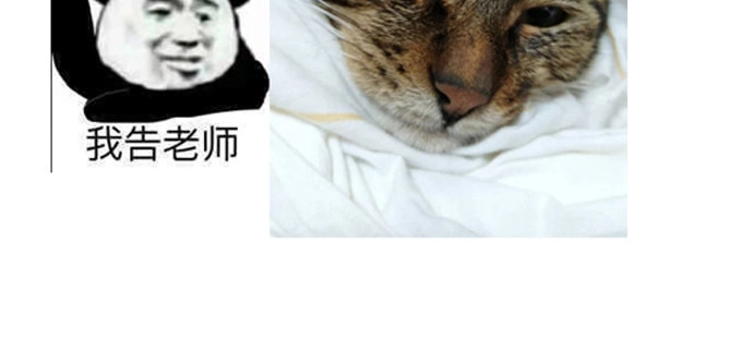 《炉鼎要反抗》不是活.....就是死？ 第47页
