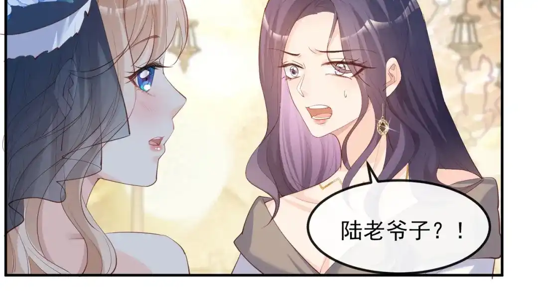 《陆总，你老婆又上热搜啦！》第45话 地位的差距 第51页