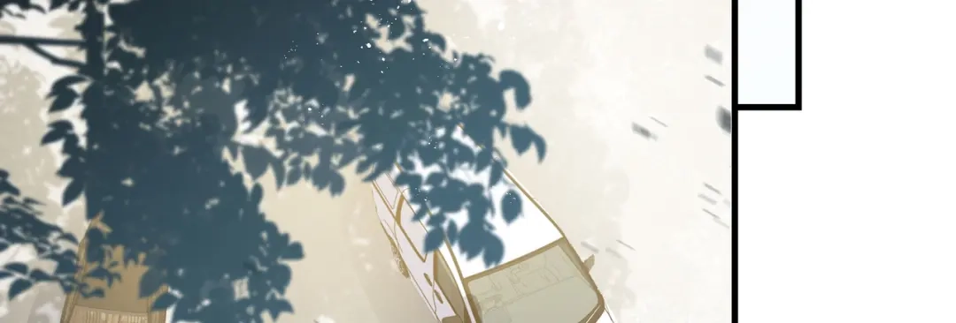 《陆总，你老婆又上热搜啦！》第69话 姜还是老的辣 第16页