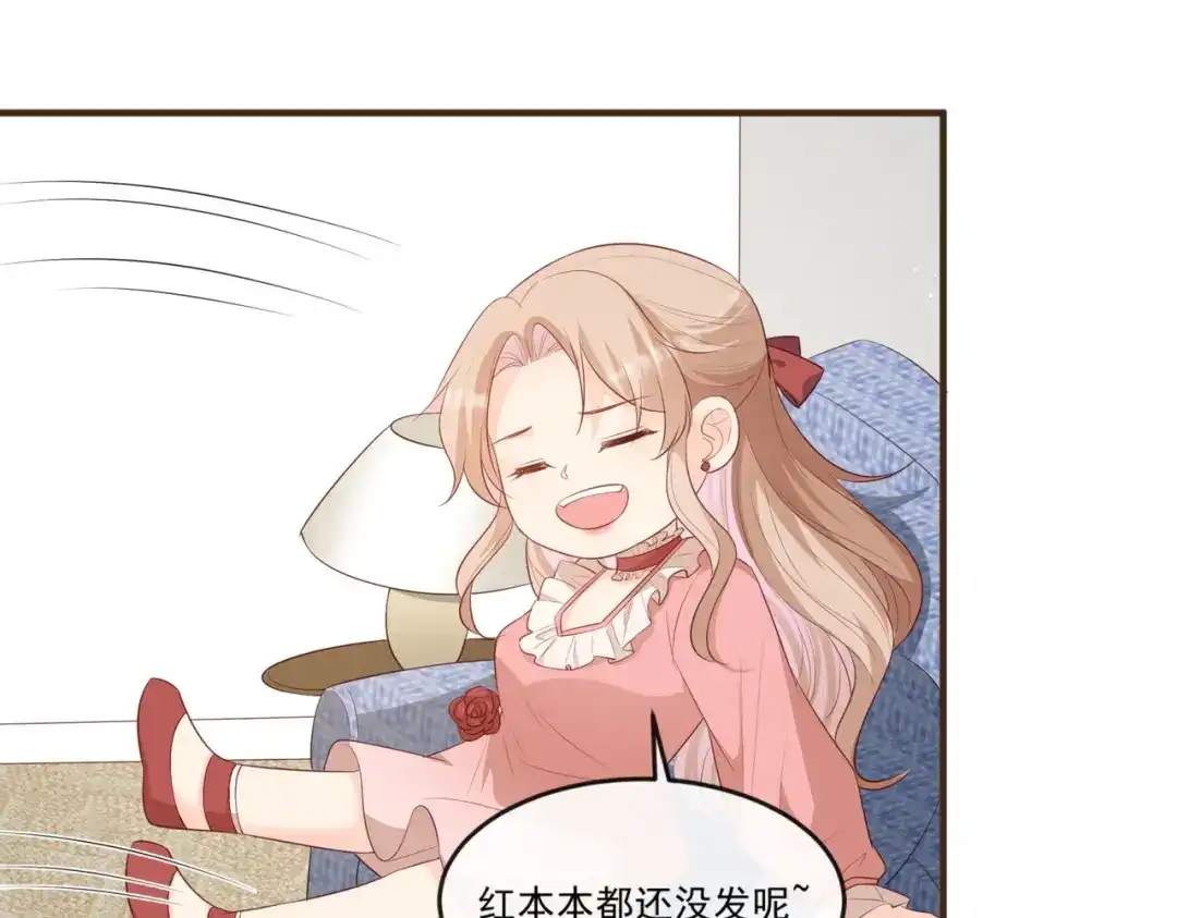 《陆总，你老婆又上热搜啦！》第95话 名正言顺的陆太太 第30页