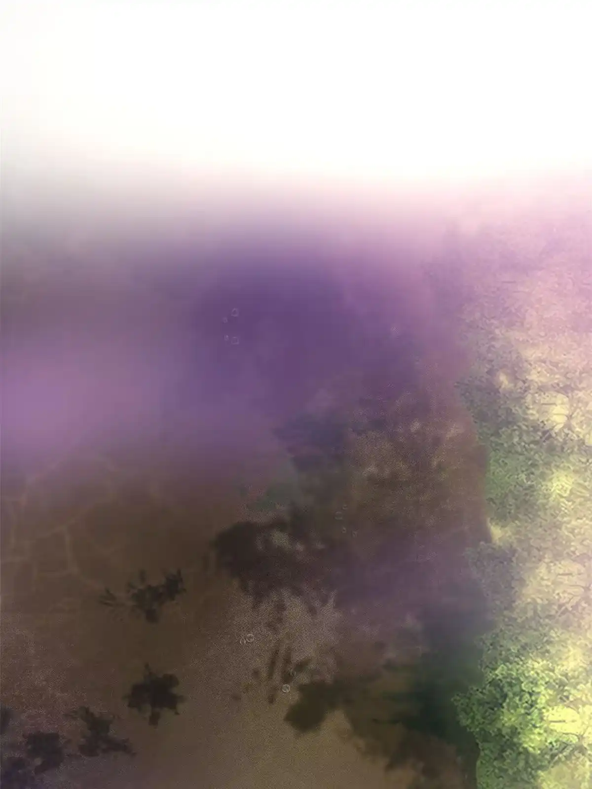 《掠天记》18 准备动手 第9页