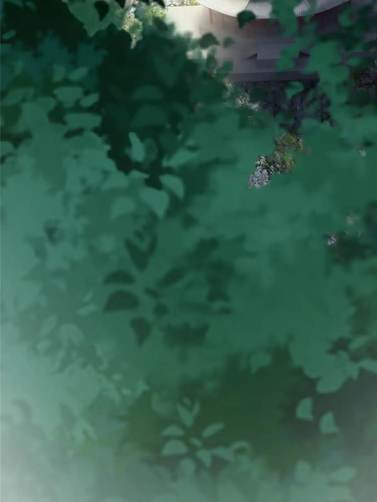 《掠天记》37 当众打脸 第61页