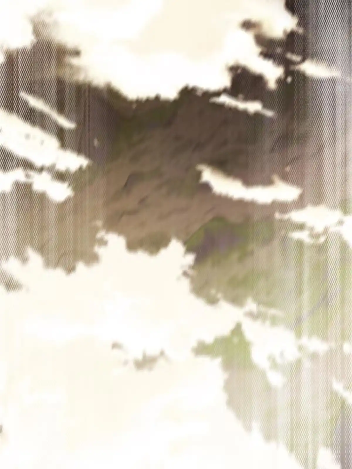 《掠天记》54 继承人 第15页
