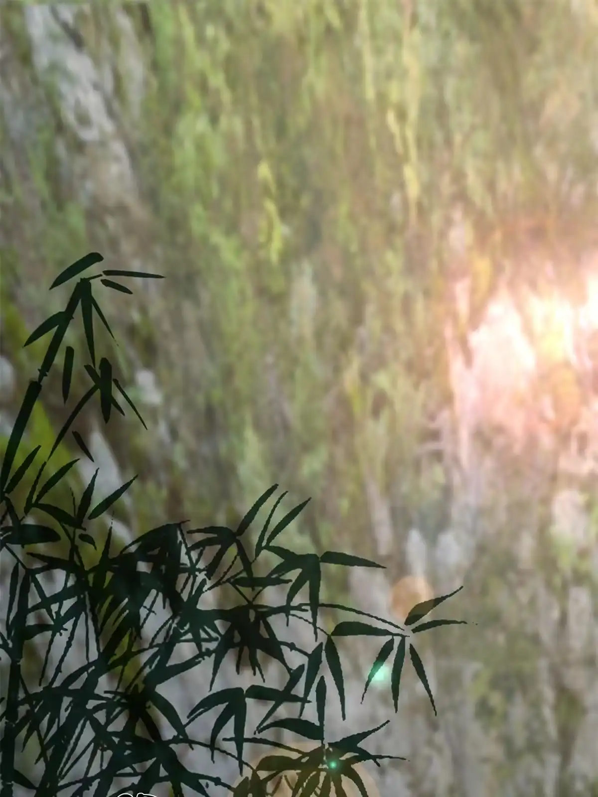 《掠天记》07 灵石发放日 第2页